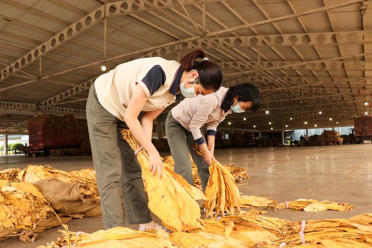 外烟厂怎么做批发商(外烟厂怎么做批发商赚钱)